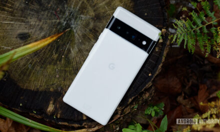 Google Pixel 7 libera fuga meses antes del lanzamiento planeado